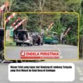 Macan Tutul yang Lepas dari Kandang di Lembang Ternyata yang Viral Masuk ke Balai Desa di Kuningan