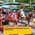 457 Kusir Delman di Garut Dapat Kompensasi Rp 365 Juta Selama Libur Nataru